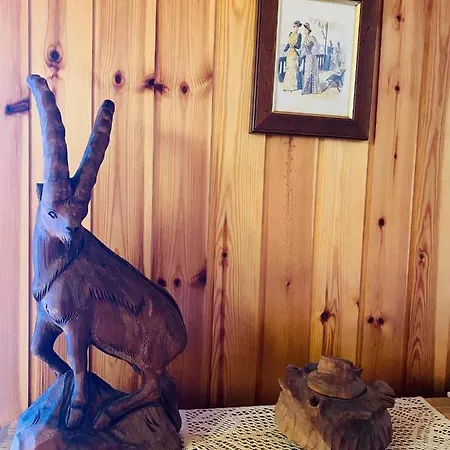 Dağ evi Rustique A La Tzoum' La Tzoumaz
