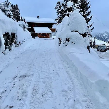 Dağ evi Rustique A La Tzoum' La Tzoumaz